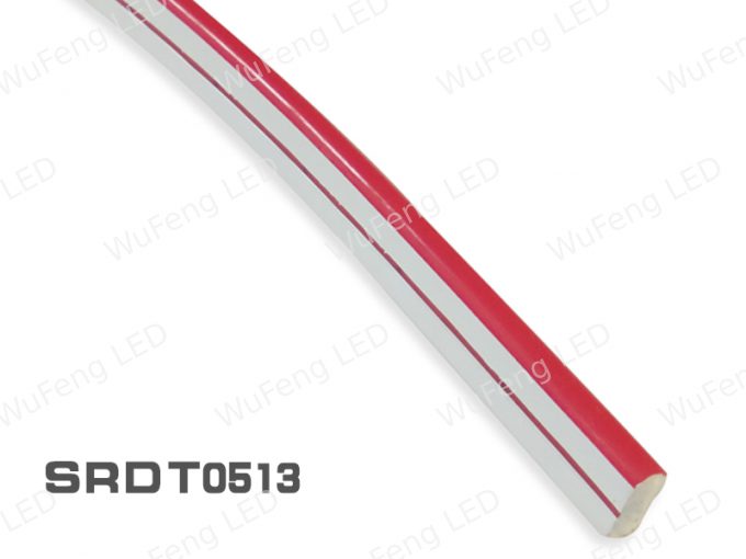 LED Neon Light