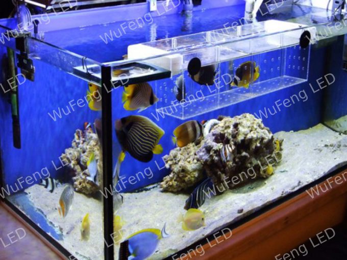 Wasserdicht LED Linienleuchte 4